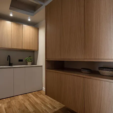 Lithinon Luxury Suites With Free Parking Apartment *